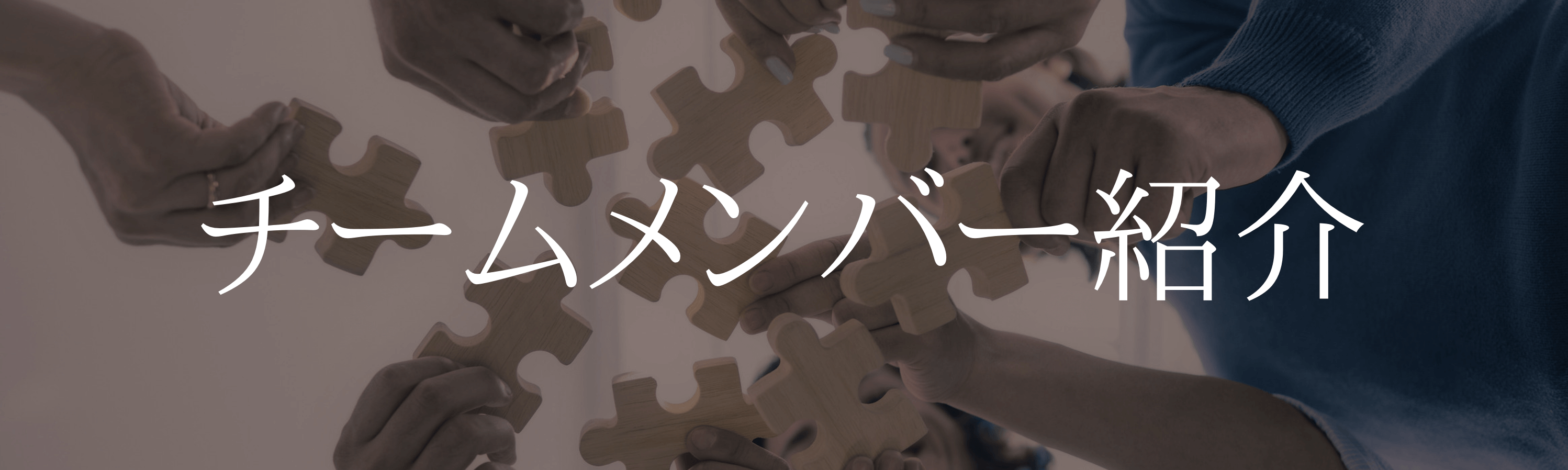チームメンバー紹介